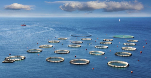 2025年中國深遠海養殖裝置行業(yè)政策、發(fā)展歷程、行業(yè)現狀及未來(lái)發(fā)展趨勢分析：海洋產(chǎn)業(yè)轉型升級驅動(dòng)，深遠海養殖裝置需求持續攀升